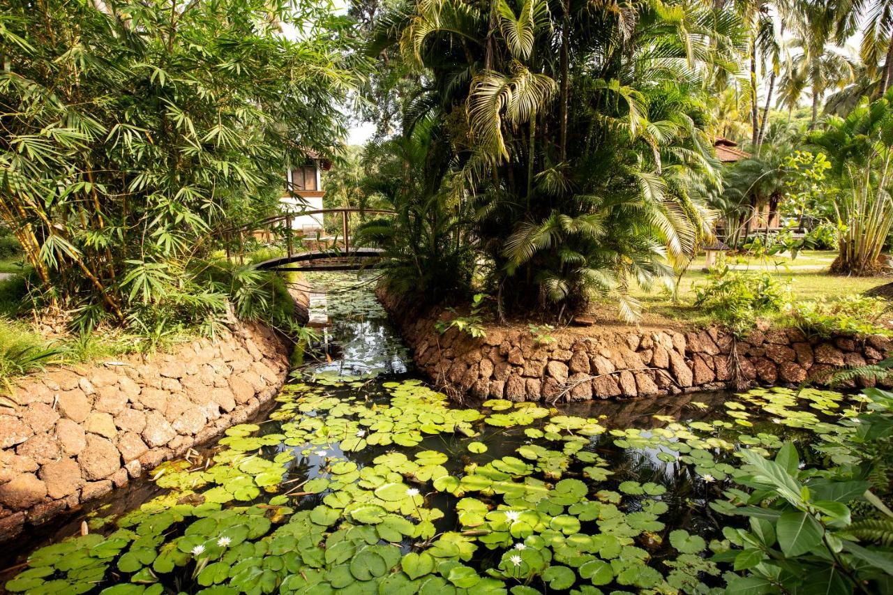 Coconut Creek Resort - Dabolim Airport Mormugao Exterior foto
